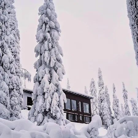 Tykkykettu Iso-syoetteen Rinteessae Villa Syöte