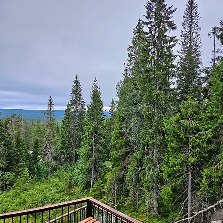 Tykkykettu Iso-syoetteen Rinteessae Villa